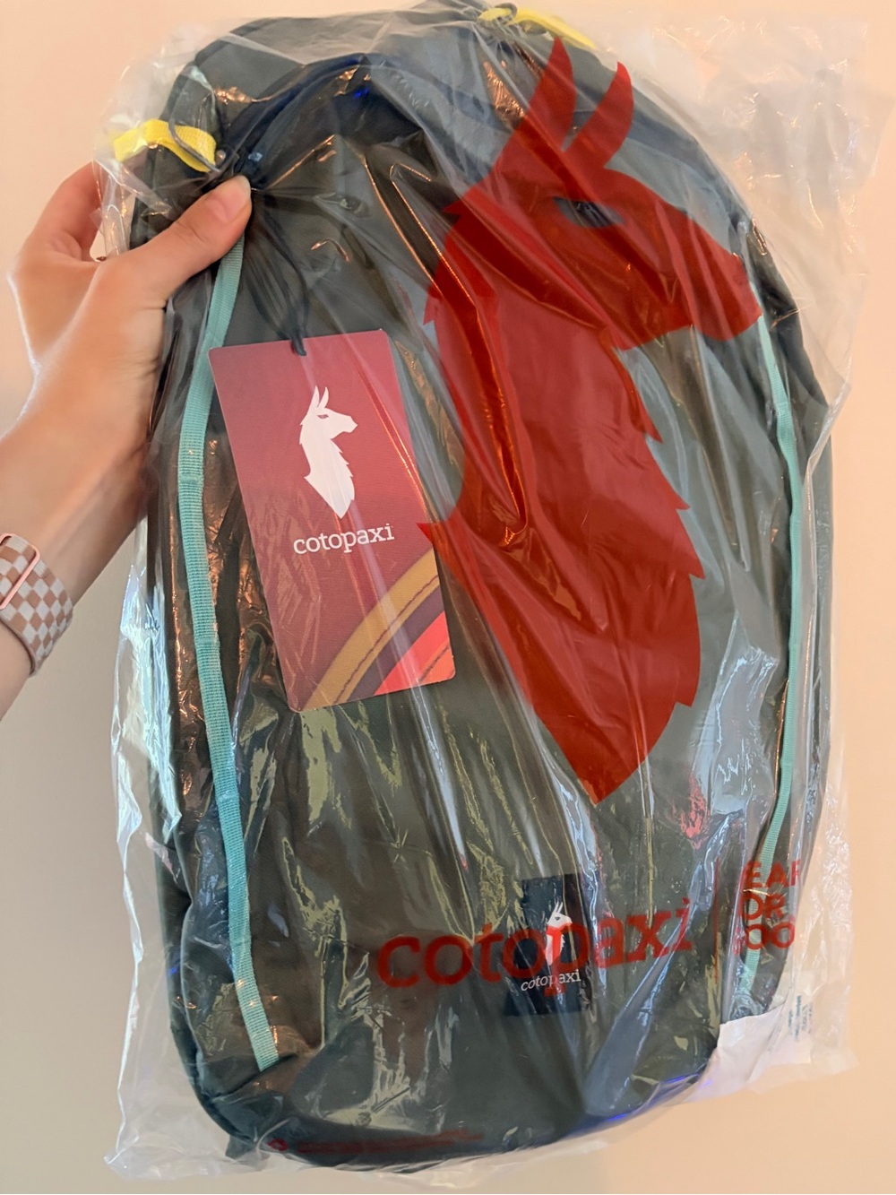 Cotopaxi 18L Vaya Backpack